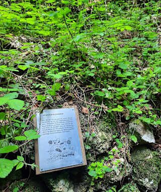 Informationstafeln in der Bürser Schlucht