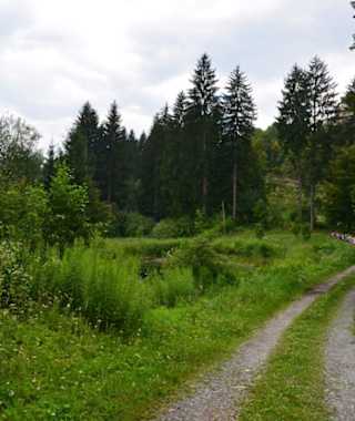 Burgherrenrunde Burg Landskron