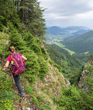 Herminensteig, Schneeberg