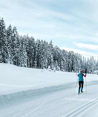 C10 Mundeknie Loipe - Leutasch
