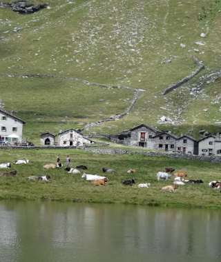 Die Chiavennahütte in der Alpe Angeloga