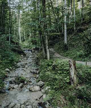 Wanderung durch die Rehbacklamm