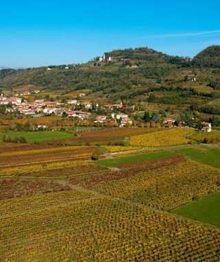 Collio