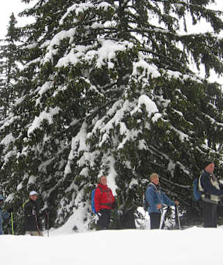 Panoramawinterwanderung in Hinterreith