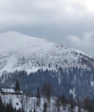 Loebner von Südosten
