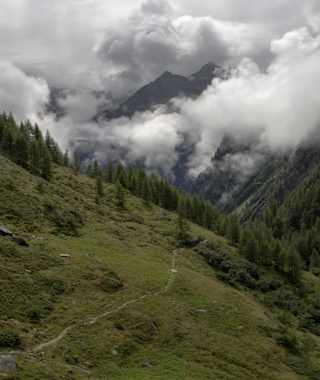 Die Baumgrenze liegt hinter uns, Blick von der Ochsner Htt. ins Tal