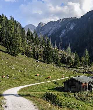 Auf halber Strecke erreicht man die Gotzenalm