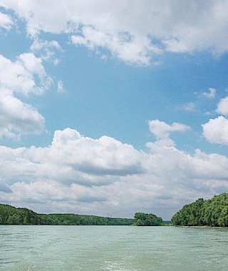 Die frei fließende Donau