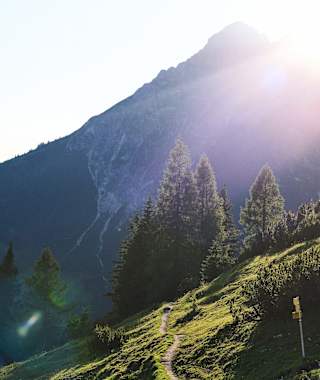 Wanderweg im Bereich der Söldenhütte