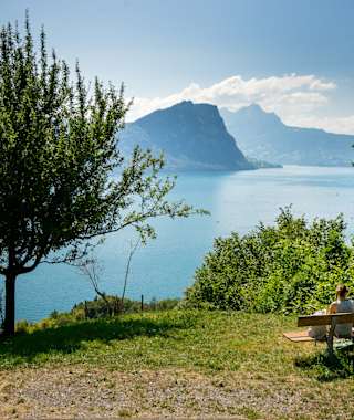 Sicht auf den Bürgenstock und Vierwaldstättersee während der Wanderung entlang des Waldstätterweg, Etappe 2 Vitznau-Küssnacht