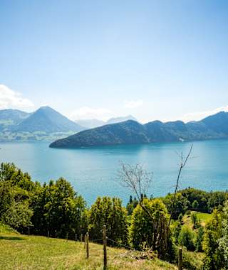 Sicht auf den Vierwaldstättersee mit Bürgenstock auf der Wanderung entlang des Waldstätterwegs, Etappe 1 Brunnen-Vitznau