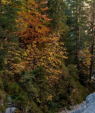 Durch die beeindruckende Hüttlebachklamm bei Krün.