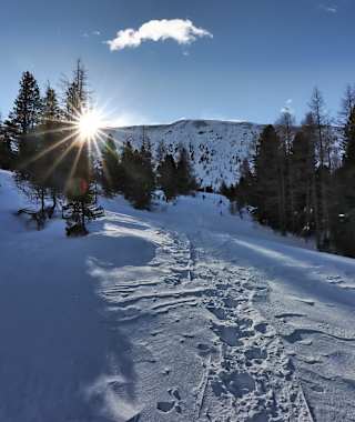 Sonnenaufgang auf der Saureggalm