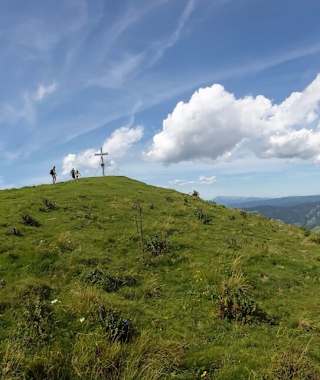 Plankogel auf der Sommeralm
