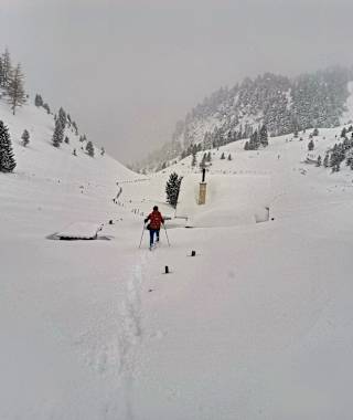 Im Rosental unterhalb des Rinsennock