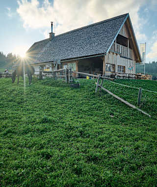 Kleiner Zubau der Ebenforstalm