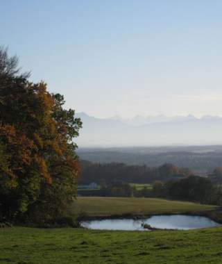 Eggelsberger Waldweg