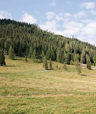 Viel Gelände rund um die Egger Alm