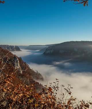 Ausblick vom Eichfelsen. Tief unten liegt das Donautal im Nebel