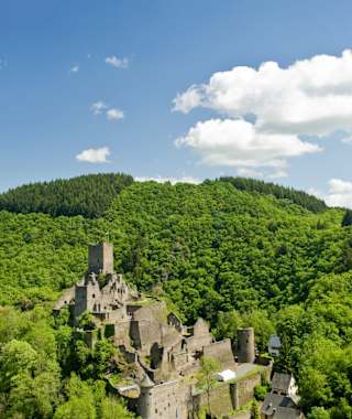 Manderscheiner Burgen