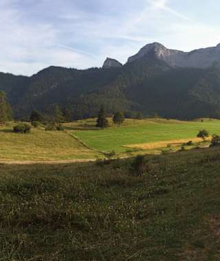Oben angekommen – die Eisenauer Alm