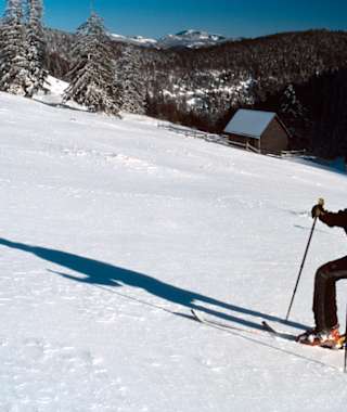 Aufstieg über die Gipfelwiese, im Hintergrund die Reisalpe