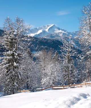 Rodeln auf der Elmauer Alm