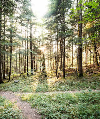 Wanderung zur Enderlinhütte