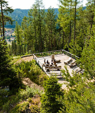Genießerpfad Heidelbeerweg Enzklösterle