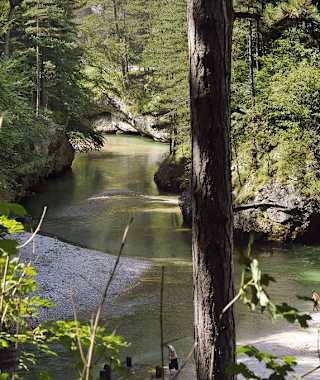 Im Höllental an der glasklaren, verträumten Schwarza.