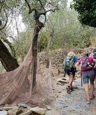Wanderer im Nationalpark Cinque Terre