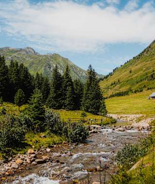 Almlandschaft Eselsberg, Region Murau