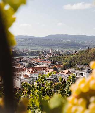 Blick auf Krems-Stein - Welterbesteig Wachau