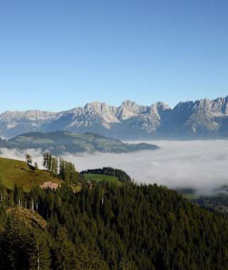 Wunderbare Aussichten auf den Wilden Kaiser
