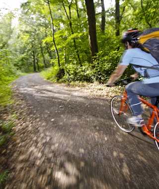 Durch das Natura 2000 Gebiet Murauen