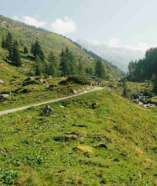 Entlang des Ahrnbaches von Kasern in Richtung Talschluss
