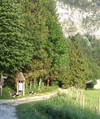 Inzell-Falkenstein-Zwing