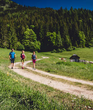 Wald- und Almwege zeichnen die 9. Etappe der BergZeitReise in der Hochsteiermark aus.