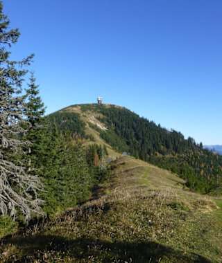 Weg auf die Gemeindealpe