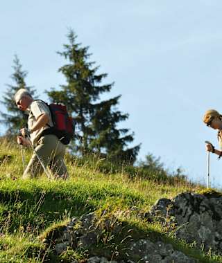 Aufstieg zur Schönfeldhütte - Vom Spitzingsattel geht es über gemütliche Pfade hinauf