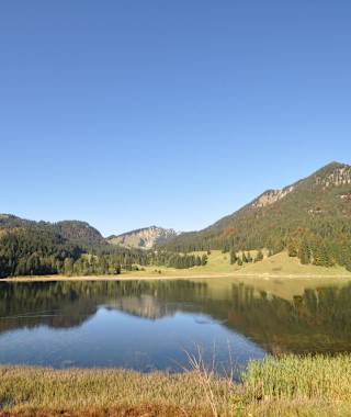 Herbstimpressionen am nahegelegenen Spitzingsee