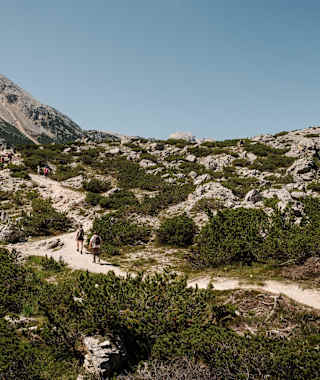 Auf dem Weg von Pederü zur Fanes Hütte