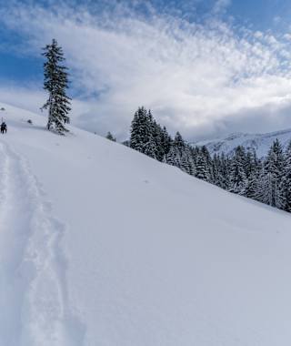 Fantastische Winterlandschaft rund um den Glaubenbielenpass in Sörenberg