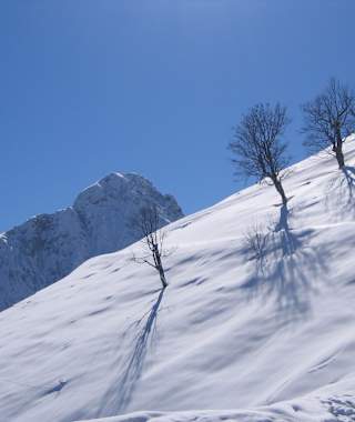 Der Weg zur 1.380 Meter gelegenen Feilalm hinauf