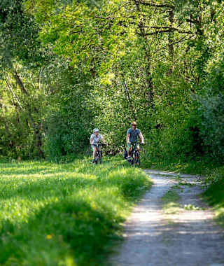 Wunderschöne schattige Wegabschnitte am Feistritztalradweg