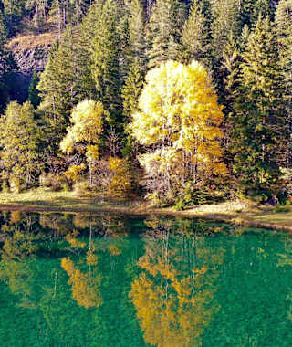 Das Naturjuwel Fernsteinsee im Herbst