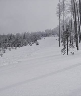 Abfahrt vom Friesling bei genug Schnee