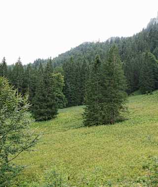 Rund um die Fritz-Putz-Hütte