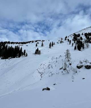 Blick zu den Farmkehralmen und dem Gipfelaufbau des Galgenbergs
