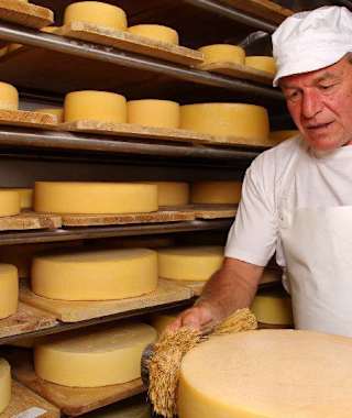 Die Käserei auf der Gampe Thaya